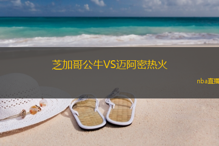 芝加哥公牛VS迈阿密热火