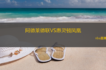 阿德莱德联VS惠灵顿凤凰